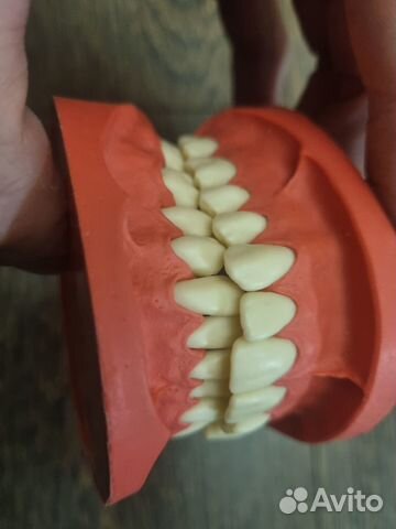 Модели геллера с дополнительным комплектом зубов