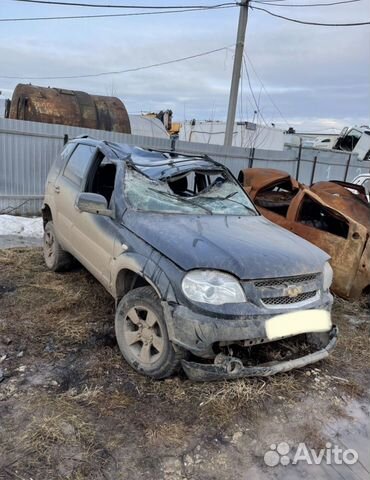 Chevrolet niva bertone