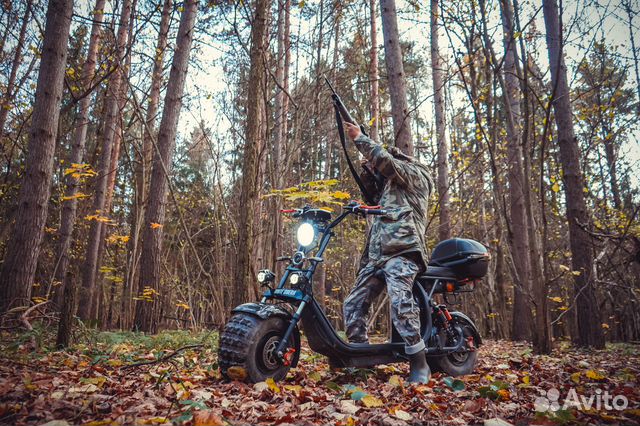 Электроскутер White Siberia PRO 2WD 4000W