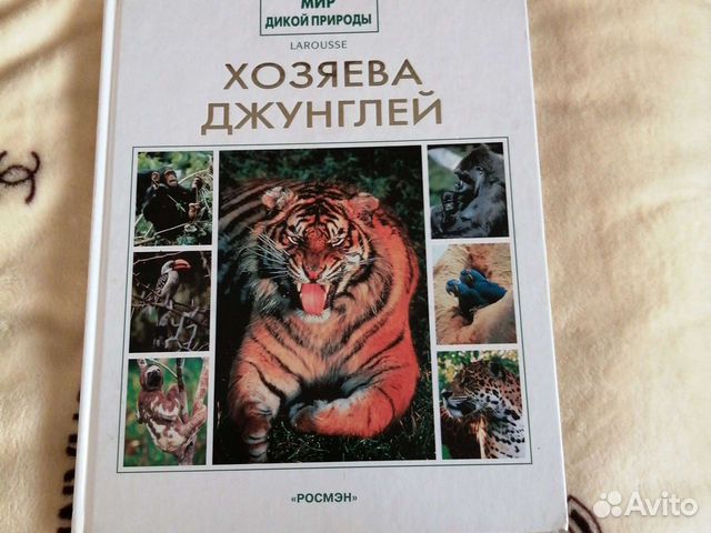 Книга Хозяева Джунглей