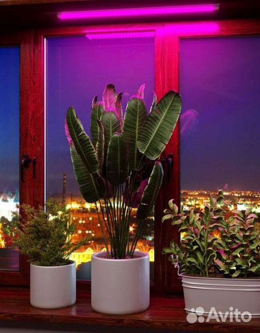 Фитолампа для растений