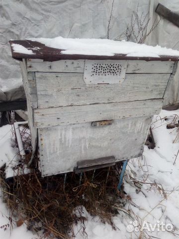 Ульи для пчел