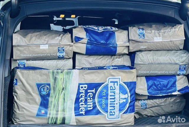 Сухой корм для собак