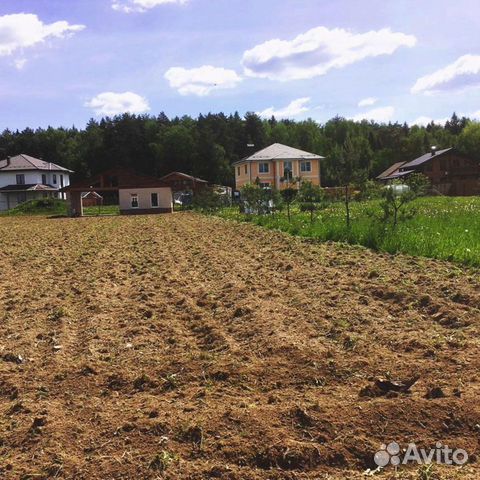 Навоз коровий