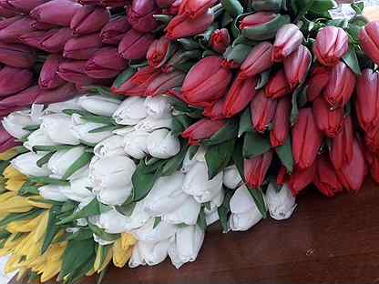 Шикарные тюльпаны к 8 марта оптом от производителя
