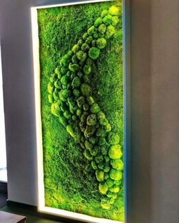 Мох стабилизированный панно панели из мха