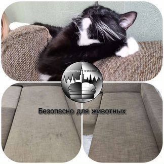 Выездная химчистка мягкой мебели/диванов/матрасов