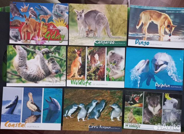Открытки с животными Австралии