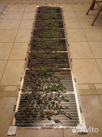 Сушилка для овощей и фруктов