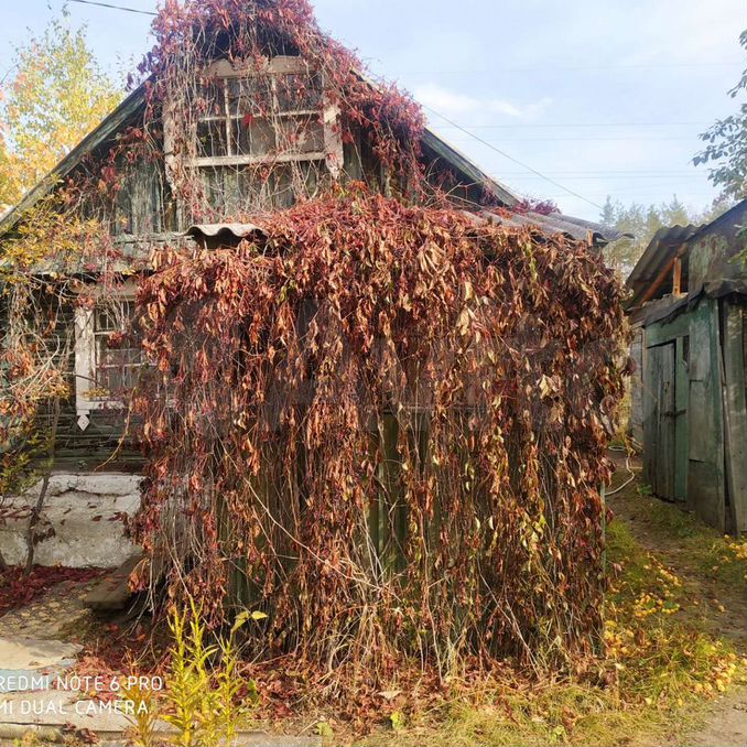 Дача кыштым. Купить сад в Кыштыме