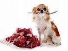 Мясо для собак