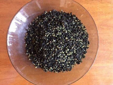 Коконы червя дендробена