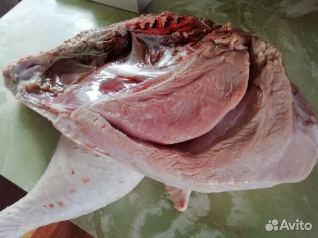 Мясо (куры, утки, гуси, индюки)