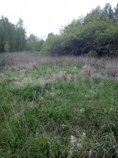 Участок 15,5 сот. (ИЖС)