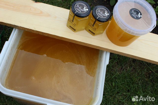 Мёд Липовый - Башкирия. Важно - не купажированный