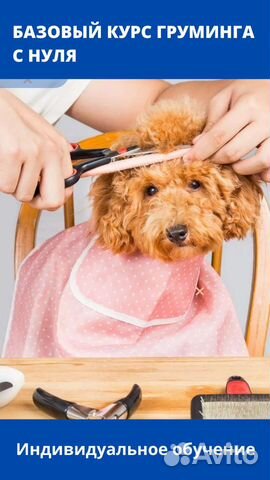 Индивидуальные курсы груминга, Груминг обучение
