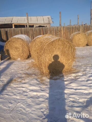 Сено и солома в чем разница фото