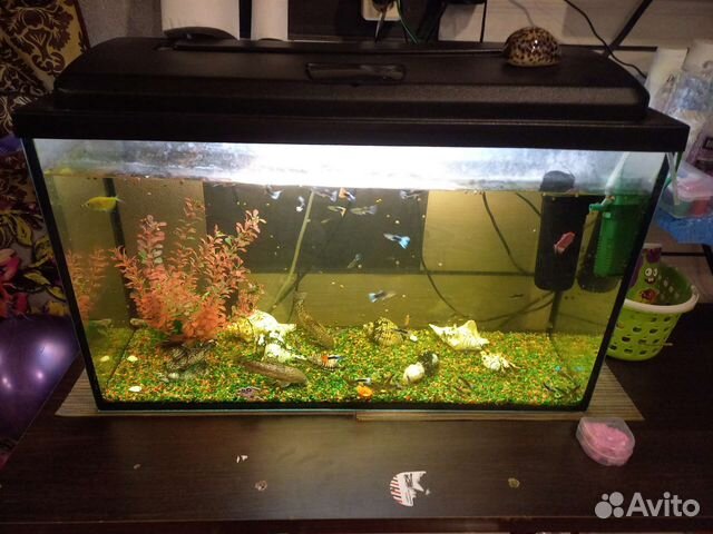 Аквариум