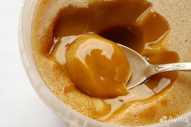 Мед гречишный