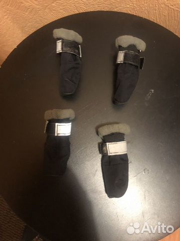 Сапожки на собаку