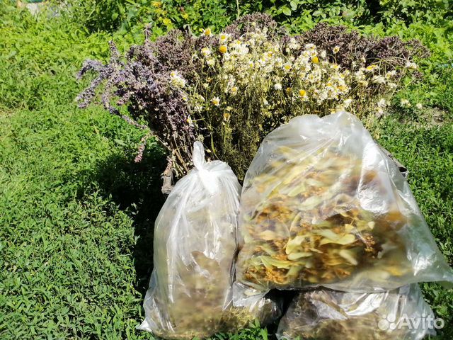 Лекарственные травы