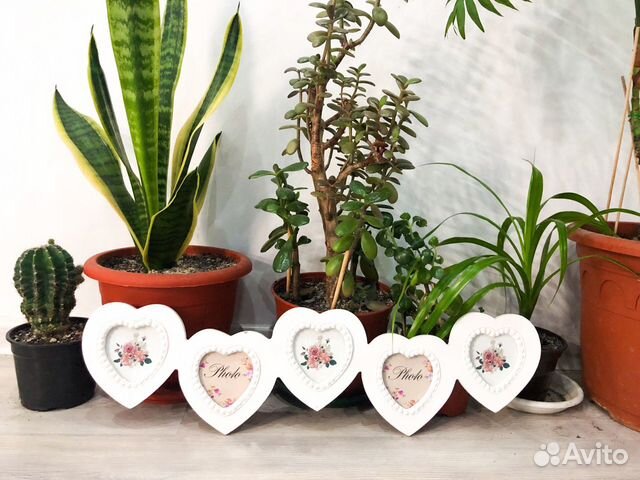 Рамки для фото