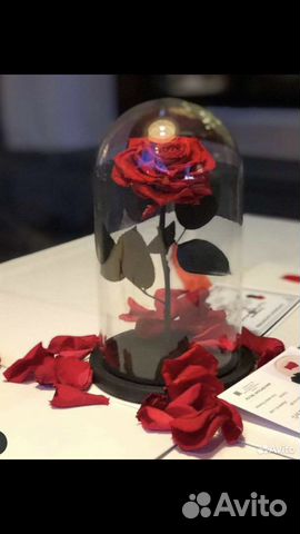 Роза в колбе 22 см премиум бутон