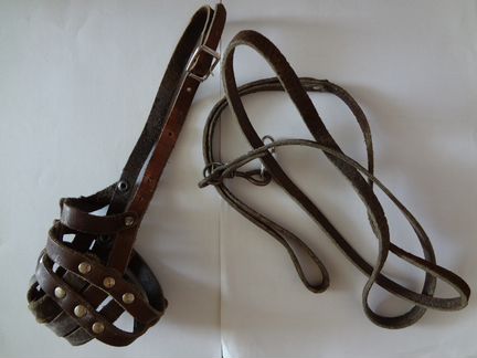 Намордник, поводок