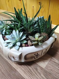 Композиция из живых цветов