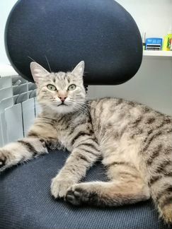 Симочке нужен дом