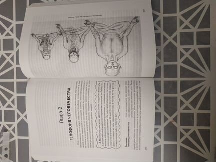 От кого мы произошли