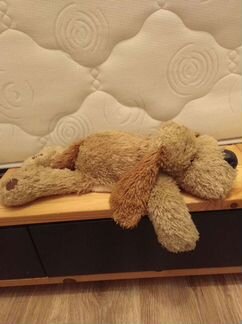 Собака 50 см