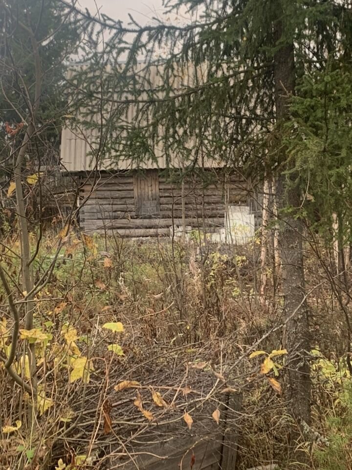 Дача 24 м² на участке 11 сот.