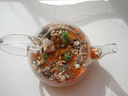 Флорариумы