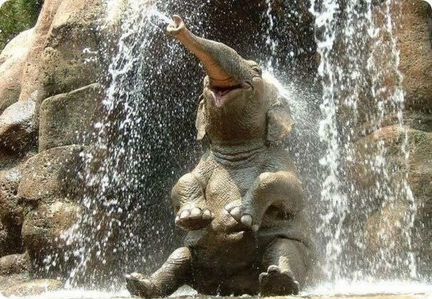 Подвеска (серебро 925, лэмпворк) Слоник Сёма