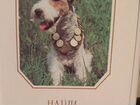Набор открыток СССР Собаки