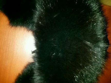 Шапка песец