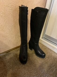 Сапоги TG Collection