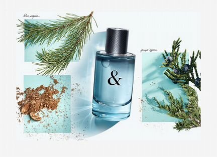 Туалетная вода Tiffany &co for him 50 ml