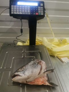 Головы лосося крупные