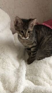 Охотница за привелениями