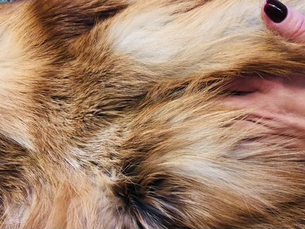 Куртка меховая