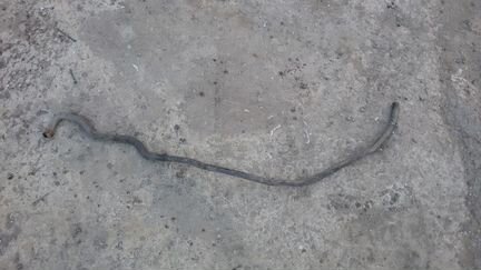 Патрубки охлаждения Форд Фокус 2